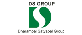 ds-group